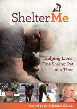 Shelter Me | DVD & Blu-ray Rentals for Shelter Me from Redbox