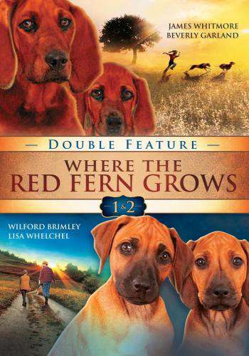 Where the Red Fern Grows (Double Feature) for Rent ...